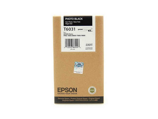 Originální inkoust Epson T6031 (C13T603100), foto černý